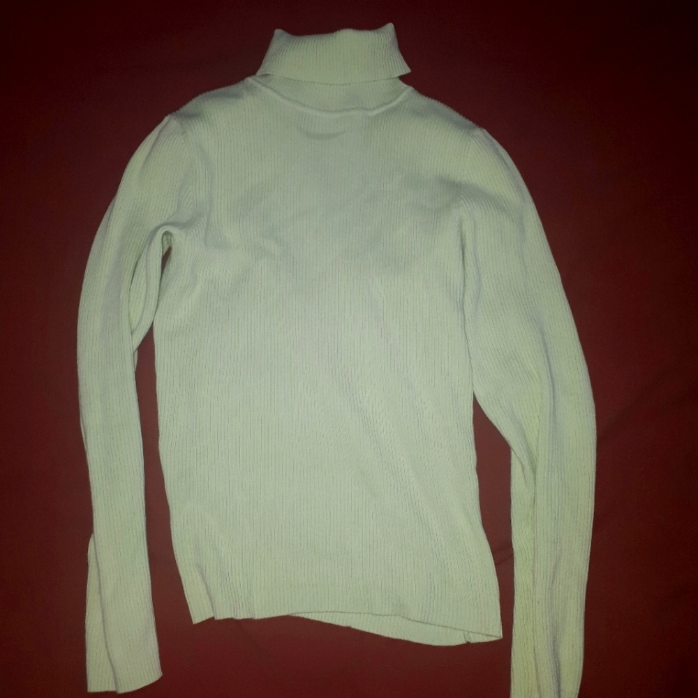 Ribbed turtle neck, light pastel green